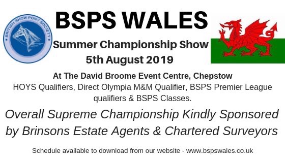 We are supporting the BSPS Championships